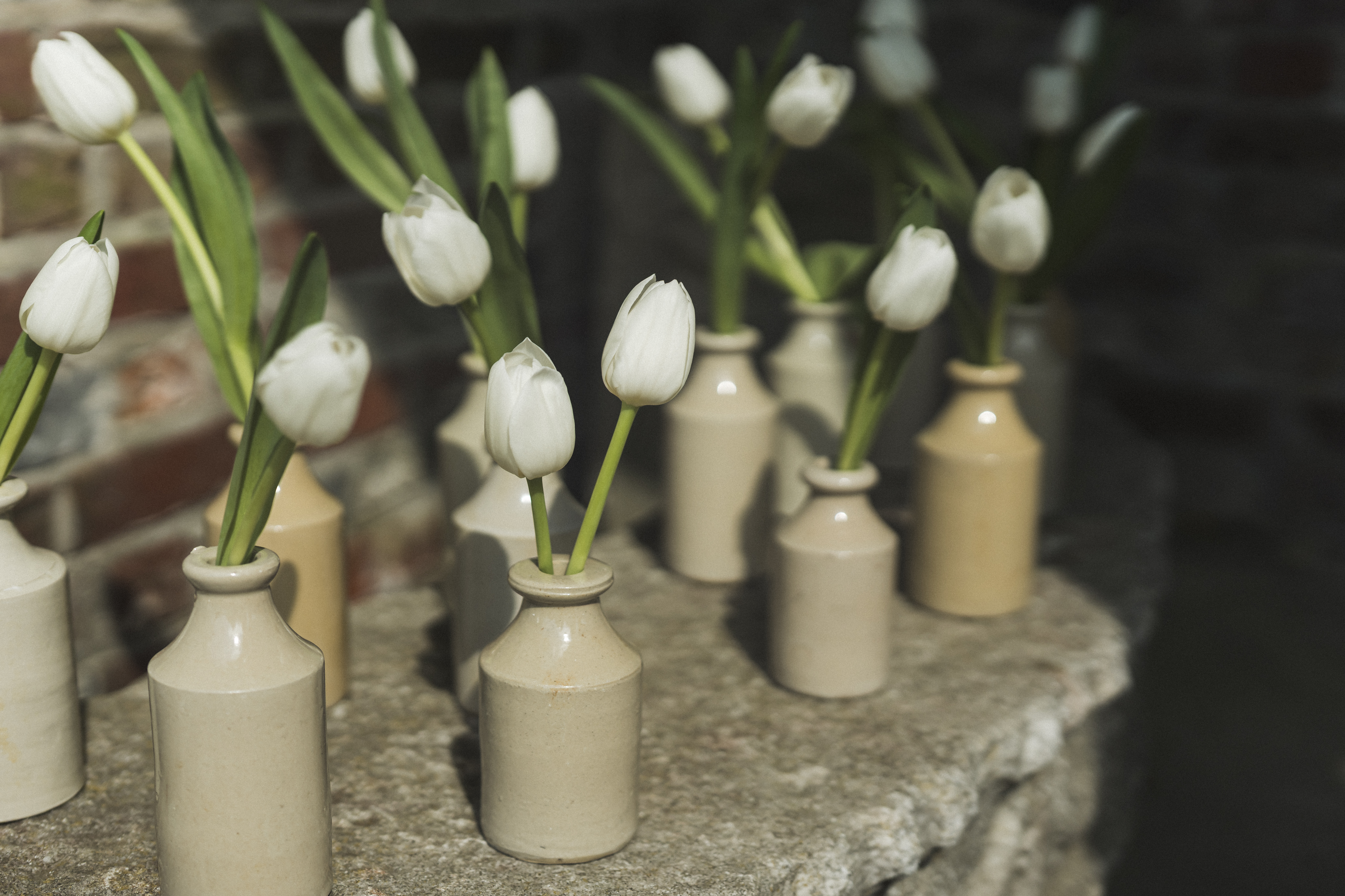 Antique Stoneware Bottles 