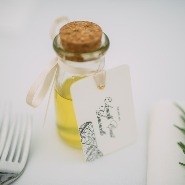 Mini Glass Cover0977