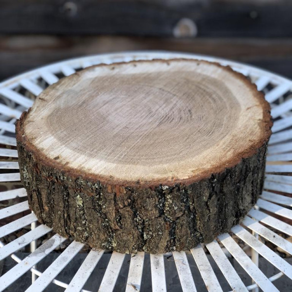 Tree Stump Stand