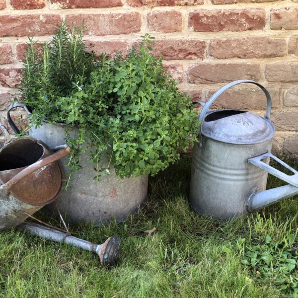 Watering Cans 1