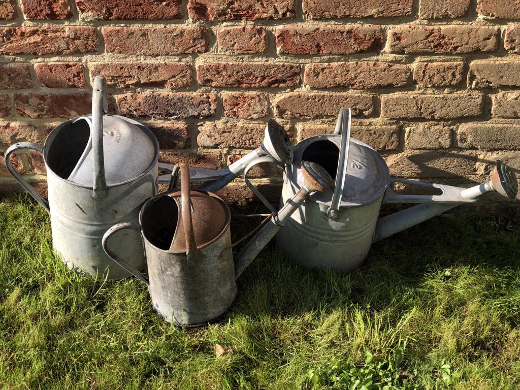 Weathered Watering Cans