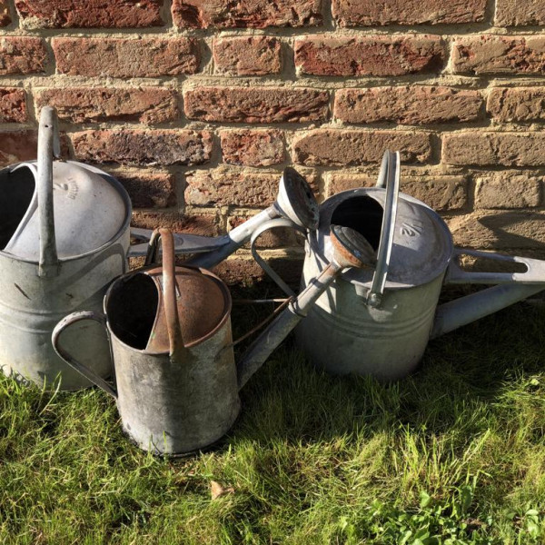 Watering Cans Cover 1