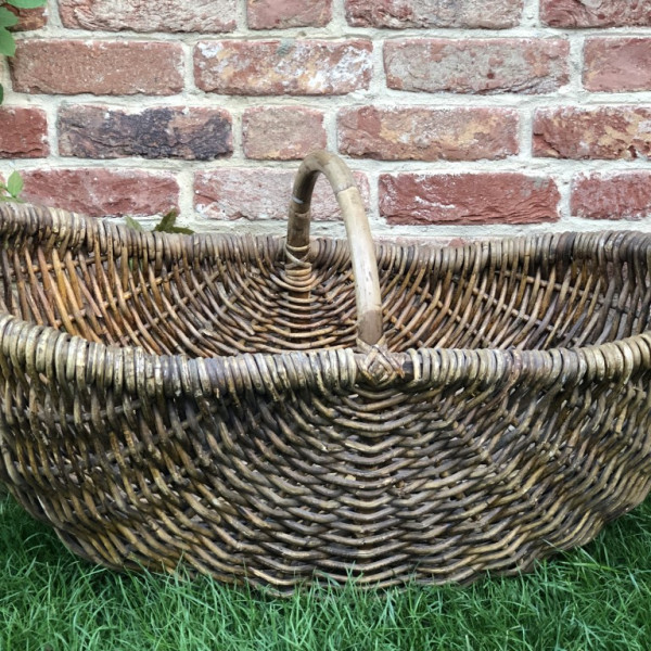 basket1 Medium